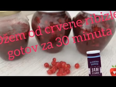 Video: Najbolji Recept Za Džem Od Crvene Ribizle (u Zimskom Periodu, Pet Minuta Itd.) + Fotografija