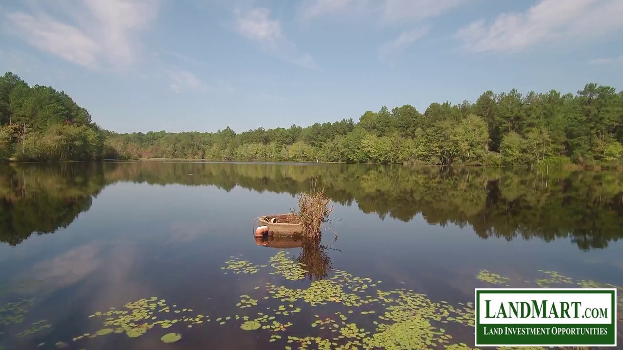 Ohoopee River Fishing Plantation 150 Acres Johnson County YouTube