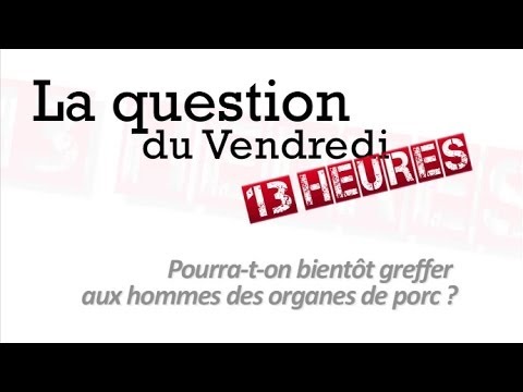 Vidéo: Les Organes De Porc Peuvent-ils être Transplantés Chez L'homme? Il Est Temps De Découvrir - Vue Alternative