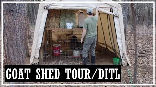 Goat Shed Tour//DITL//Cheap Barn