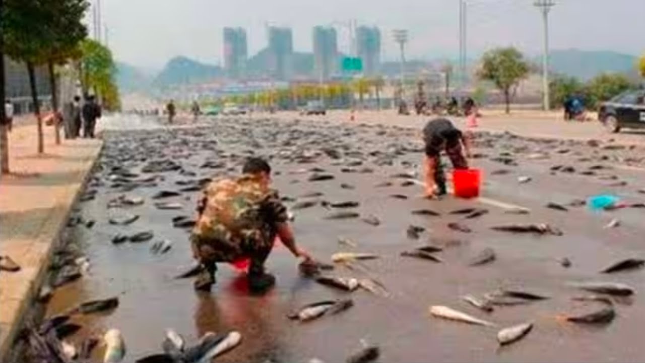10 SCARY Objects Fallen From The SKY That Can’t Be Explained