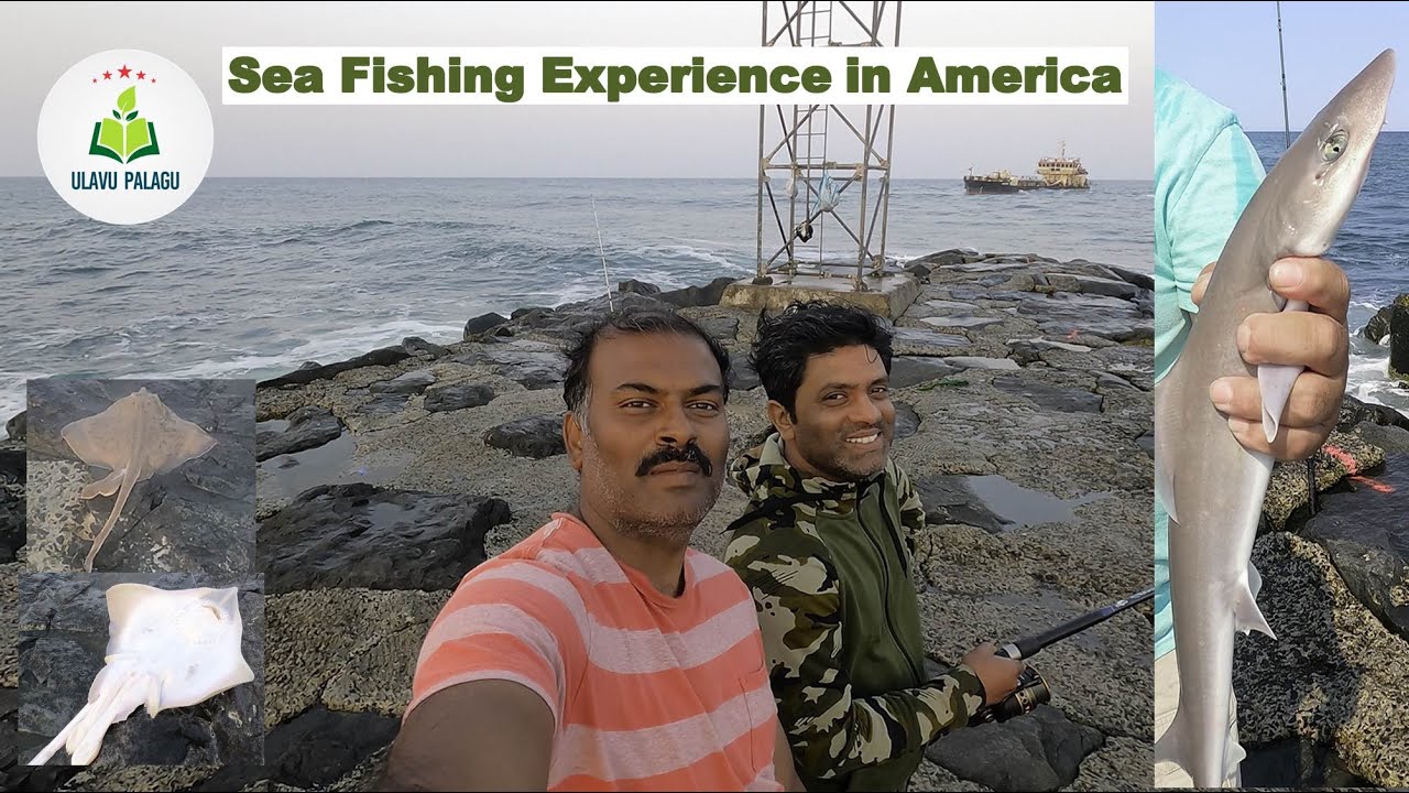 Fishing Shark River Inlet NJ Fishing Skate, Shark Belmar NJ 