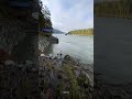 Утро на Катуни: +4, свежо, река шумит. #алтай #nature #горныйалтай