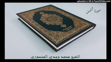 اسئلة سورة النمل اية رقم 17-18-19