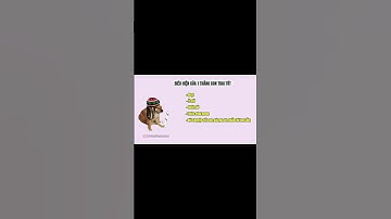 Ding Ding memes: biểu hiện của 1 thằng con trai tốt