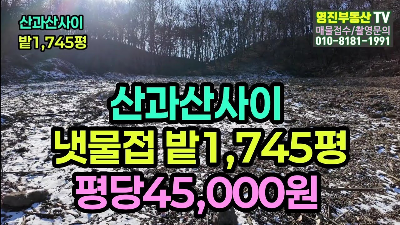 (770번)산과산사이 밭1,745평 평당4만5천원 자연인토지 #보은부동산 #충북보은토지