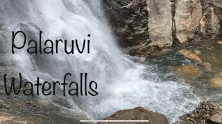 Palaruvi Waterfalls Travel Guide #palaruvi #palaruviwaterfalls #thenmala #thenmalaecotourism