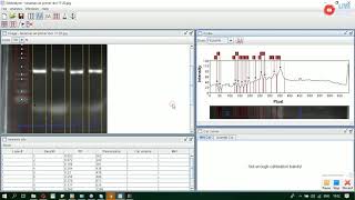How to Use Gel Analyzer To Know Basepare ( Cara menggunakan Aplikasi Gel Analyzer) screenshot 5