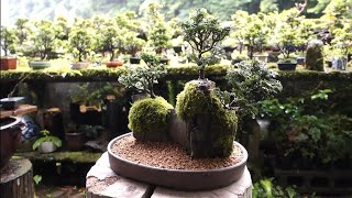 岩山の景色を作る ♯419 - YouTube