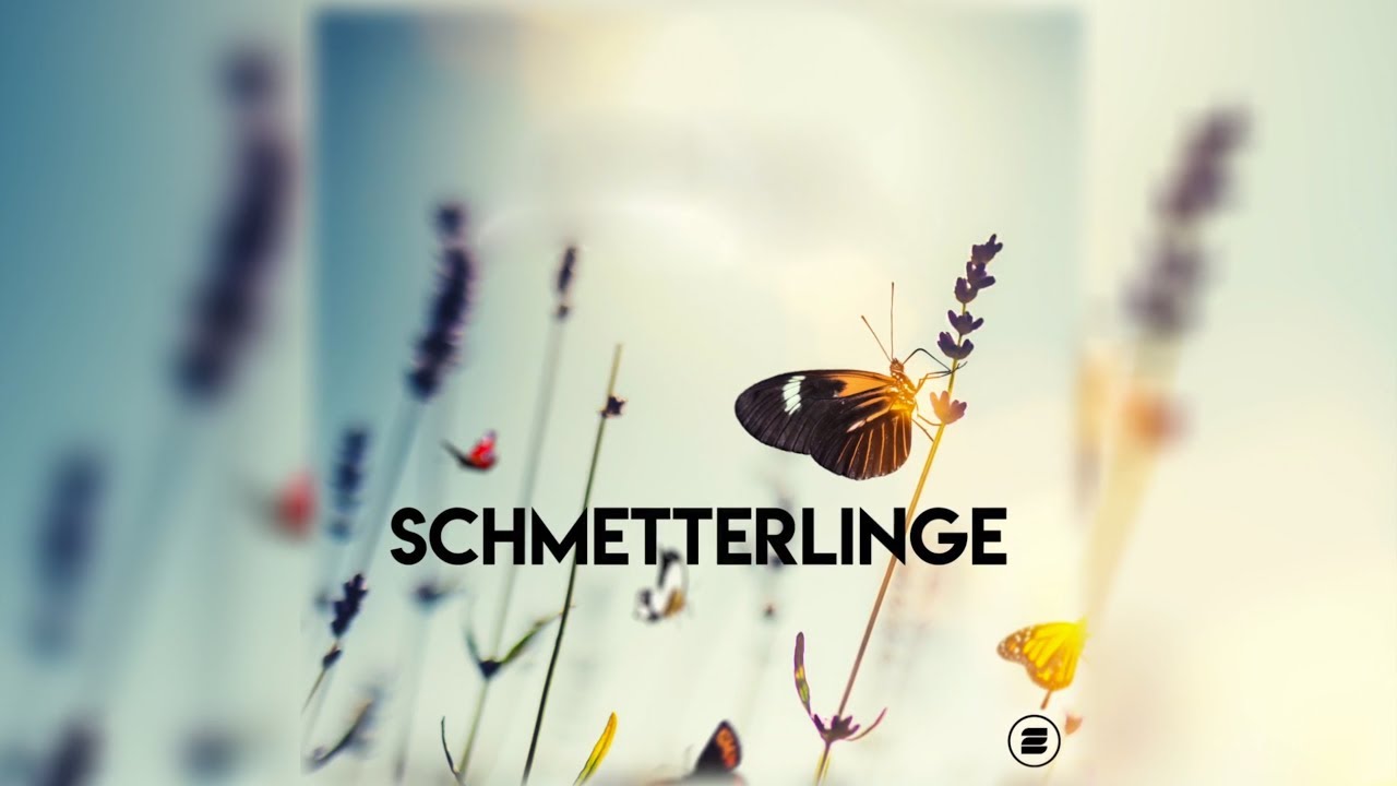 official secrets Lichtjahr - Schmetterlinge