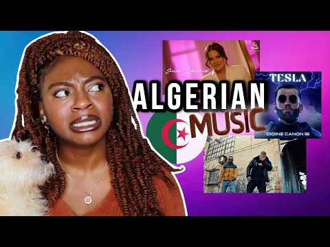 Reacting to Algerian Music | Didine Canon 16, Trap King, Samira & Numidia