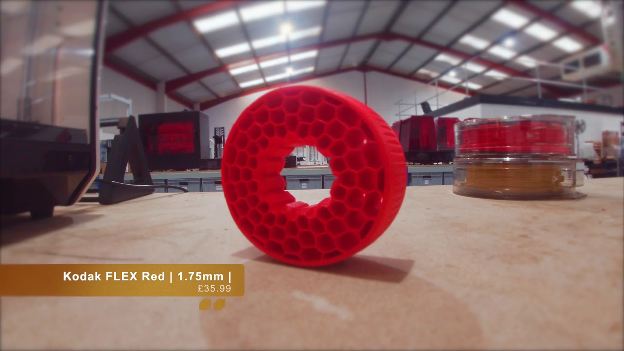 Kodak Portrait 3D Printer: Nylon 6 and Kodak Flex 98 - Flexible 3D Prints