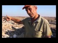 العدوان الإسرائيلي على حواضن"الدجاج البياض"