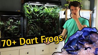 Complete Frog Room Tour  2023 Edition