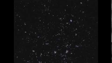 CC Week 12, Cycle 3, Latin John 1:1