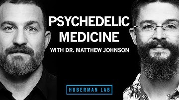 Psychedelics for Treating Mental Disorders | Dr. Matthew Johnson