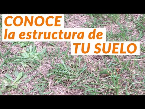 Video: Contenido De Suelo En El Huerto