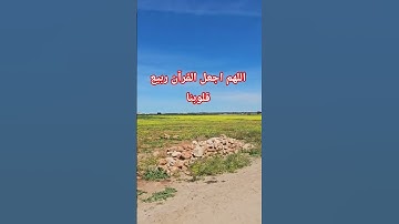 سورة الفلق #تلاوة_خاشعة #القرآن_الكريم #سورة_الفلق #اكسبلور #foryou #fyp