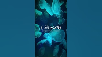 تلاوة عطرة لبعض آيات مباركات من الذكر الحكيم 🕋🕌