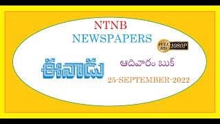 NTNB NEWSPAPERS