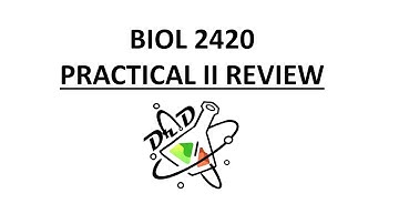 BIOL 2420 Practical 2 review