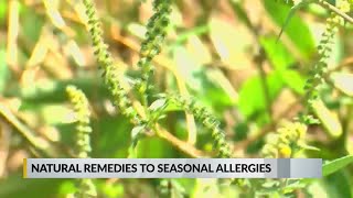 natural remedies to seasonal allergies