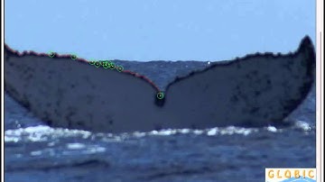 I3S Contour difficult annotation