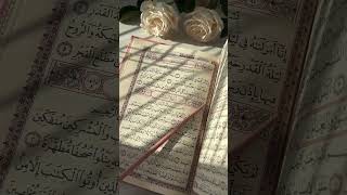 Ляйлятуль Кадр — ночь почета и величия✨
