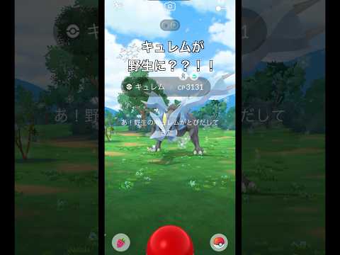 【ポケモンGO】キュレムが野生に？？！！！#ポケモンgo #ポケモン #キュレム