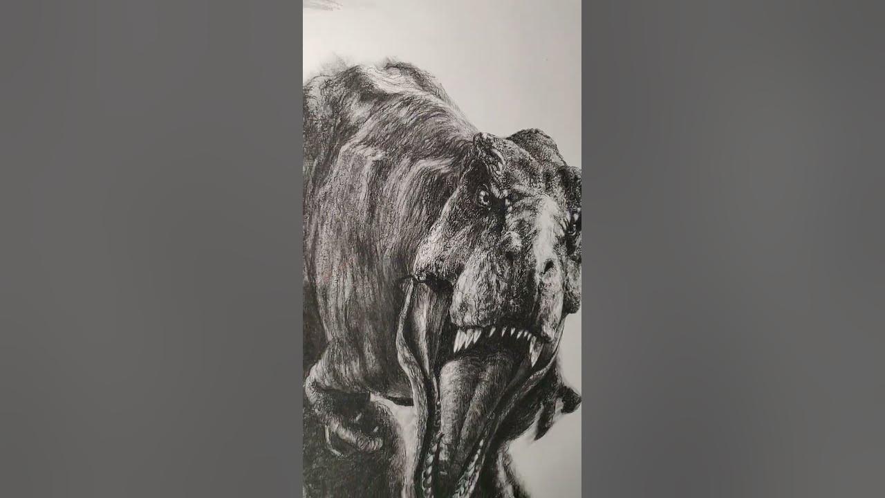 Charcoal drawing of a Tyrannosaurus Rex by p3vstudio on DeviantArt