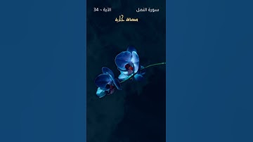 سورة النمل الأية~34