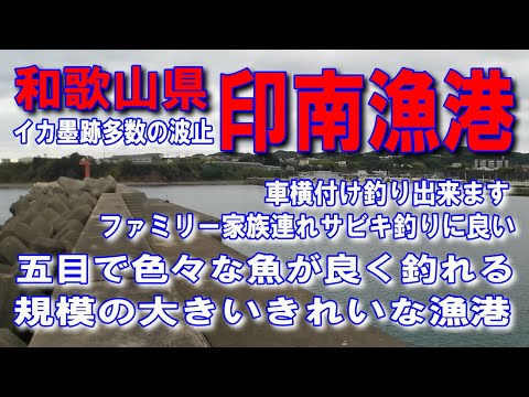 #95和歌山県印南漁港規模の大きいきれいな漁港五目で色々な魚が良く釣れる規模の大きいきれいな漁港ファミリー家族連れサビキ釣りに良い車横付け釣り出来ます何度も来たい漁港イカ夜釣り最適釣具カートの移動手軽