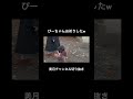 #美月 #朝倉未来 #育児 #東郷神社