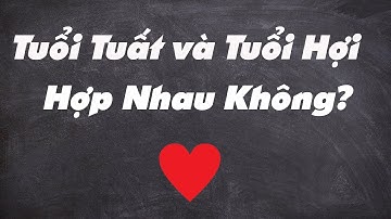 🔥(Xuất Sắc) Tuổi Tuất Và Tuổi Hợi Có Hợp Nhau Không?|Xem Tuổi Vợ Chồng Chuẩn Nhất|Tử Vi 365
