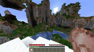 Anomaly banned for Hitler skin in minecraft