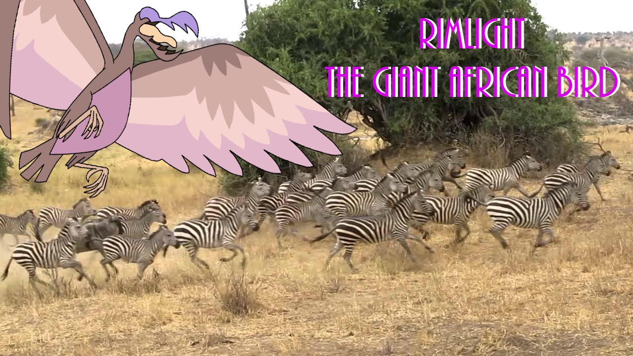 Rimlight: the African giant bird