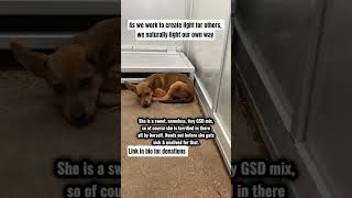 @TeddyKittens @USATODAY @KidsDianaShow @cedra.beauty @holocaustmuseum