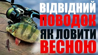 👌ВІДВІДНИЙ ПОВОДОК! ЯК ловити ВЕСНОЮ пасивного ОКУНЯ І ЩУКУ?😳  ФАЙНА РИБАЛКА І НАЗАР ГАРМАТЮК