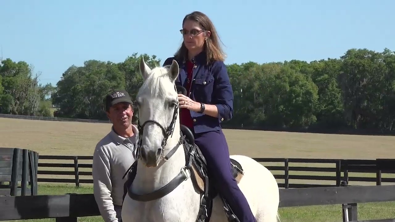 Professional trainer test rides Classic Fino horses at Besilu and describes how to ride a Paso Fino