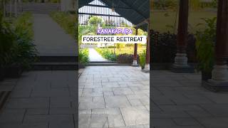 "Forestree Reetreat Resort | Stay Close to Nature 🌿 | Luxury in the wood" #shorts