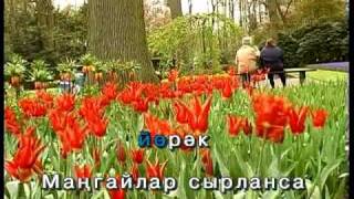 Картаямыни сон йөрәк .Татарча Караоке