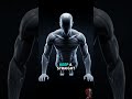 “Stop Killing Your Core: You’re Doing Planks Wrong” #coreworkout #plank #abstraining