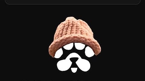 HOW TO PERFORM THE PAWS FINAL ACTIVITY CHECK FOR AIRDROP QUALIFICATION #telegram #airdropcrypto #btc