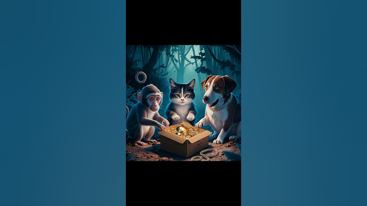 They found the treasure #cute #cat #kitten