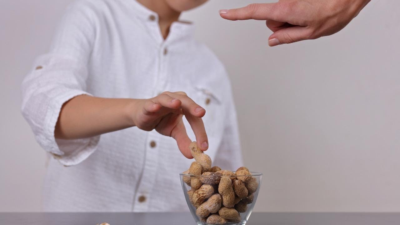 Is Autism Linked To Food Allergies >> Is Autism Linked To Food Allergies Youtube Is Autism Linked To Food Allergies >> Is Autism Linked To Food Allergies Youtube