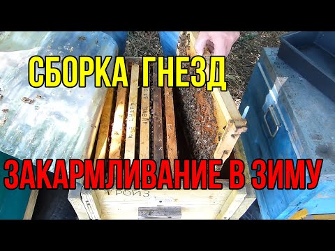 Вопрос: Почему аисты после зимовки возвращаются в прежнее гнездо?