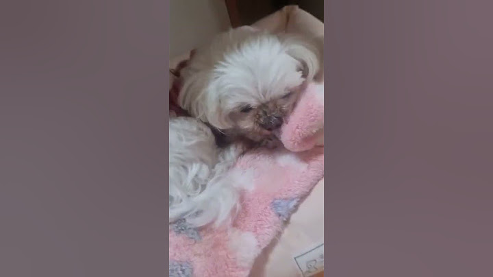 ???:이 쇼츠를 보시고 정신 나갈거같다면 크나큰 오예입니다