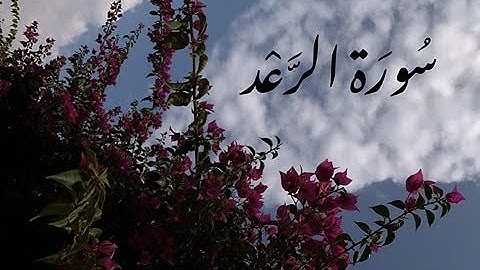 تلاوة هادئة تشرح الصدر، سورة الرعد، هزاع البلوشي