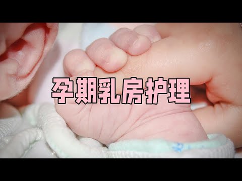 小优育儿百科 孕期乳房护理