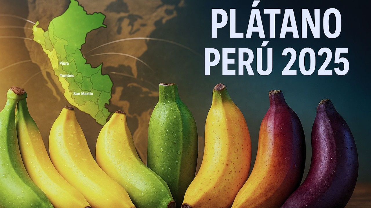 Perú tiene más de 40 variedades de plátano: esta es la verdad completa
